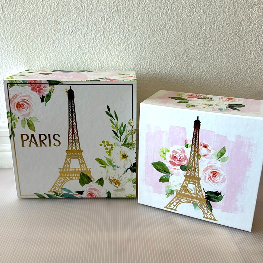 Paris Parisian French France decorative bookshelf storage box boxes brand new